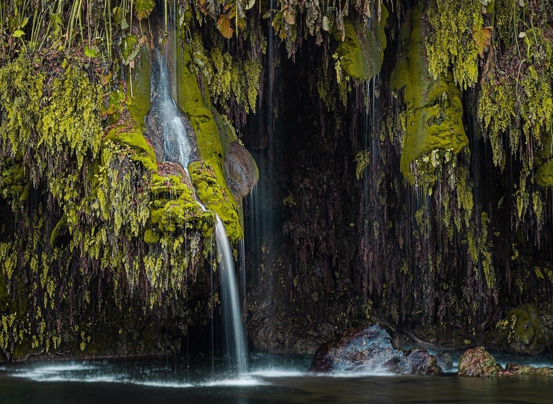 Five Favorite Freshwater Swimming Holes in Austin, Texas, Recommended to us by Peter Spiegel Travel Guru